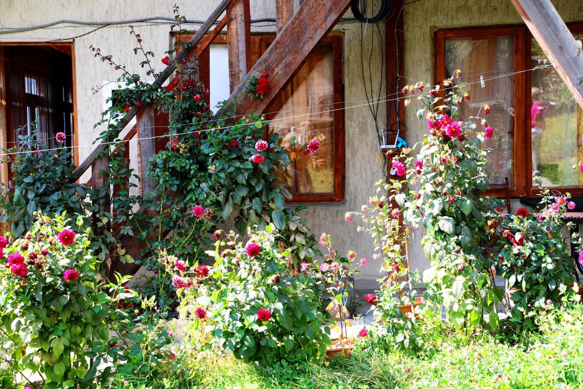 Nadia Guesthouse Mestia Exterior foto
